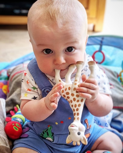 Sophie the Giraffe Teething Toy for Babies
